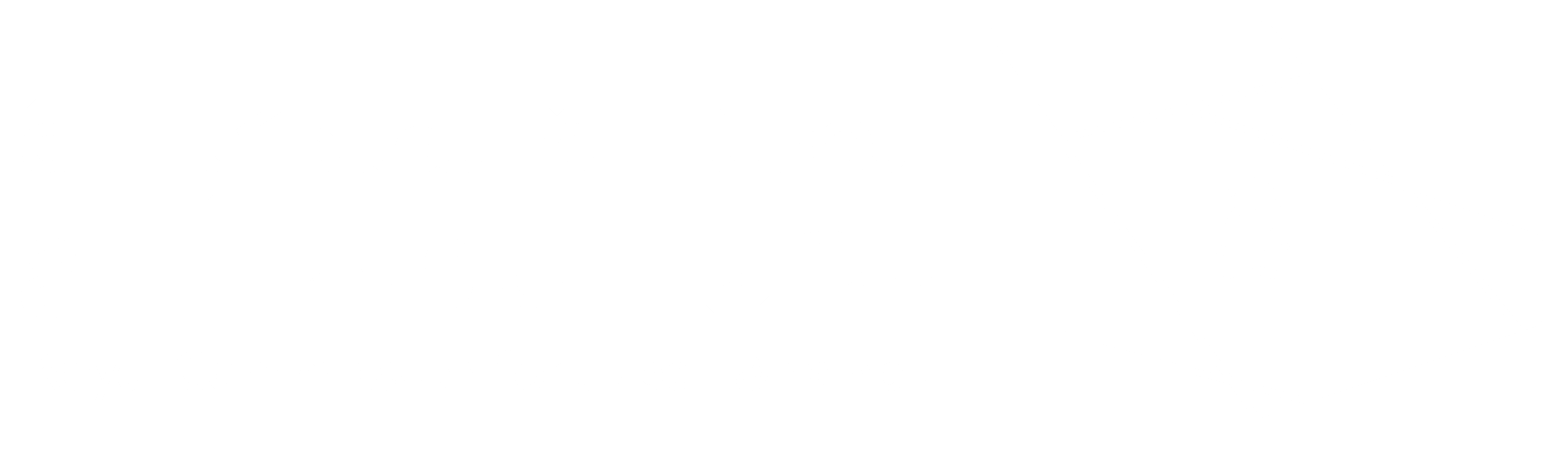 Main Logo